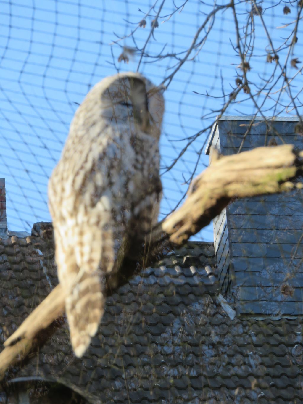 Nutzerfoto 22 Zoologischer Garten Köln AG