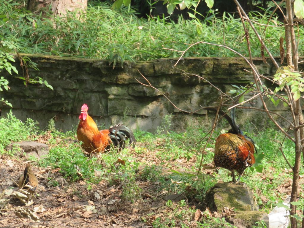 Nutzerfoto 35 ZOO Duisburg AG