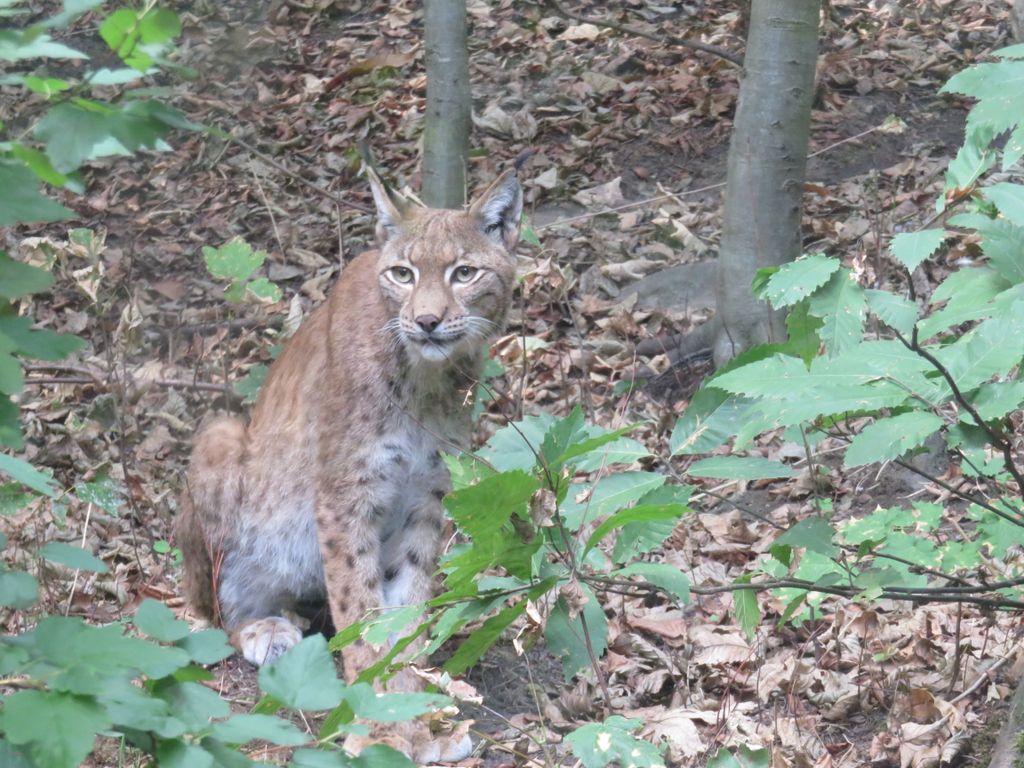 Nutzerfoto 39 ZOO Duisburg AG