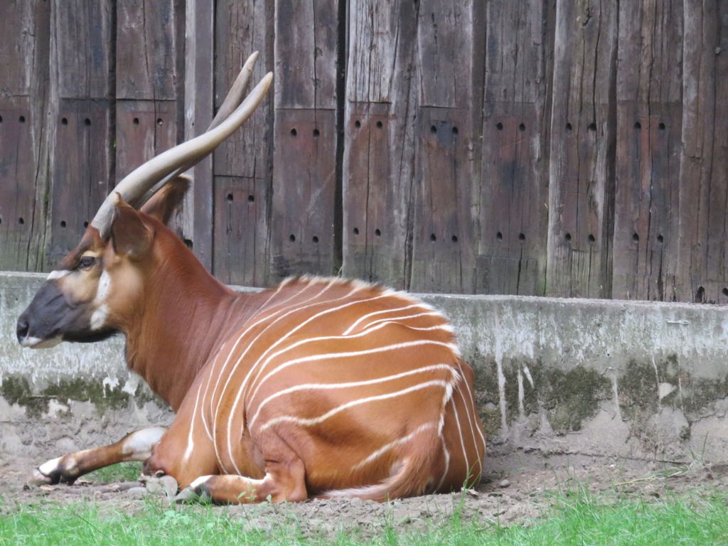 Nutzerfoto 32 ZOO Duisburg AG