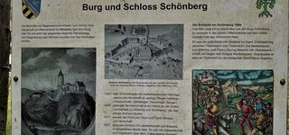 Bild zu Schloss Schönberg