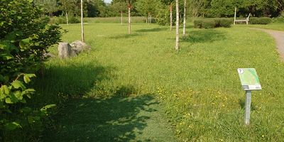 Disc Golf Ostbayern e.V. in Wenzenbach