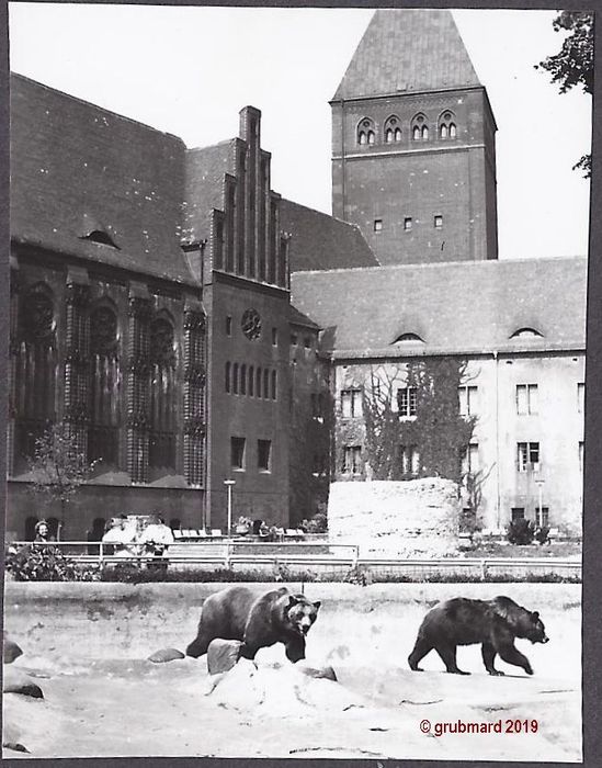 1971: Bärenzwinger mit 2 Stadtbären, dahinter das Märkische Museum
