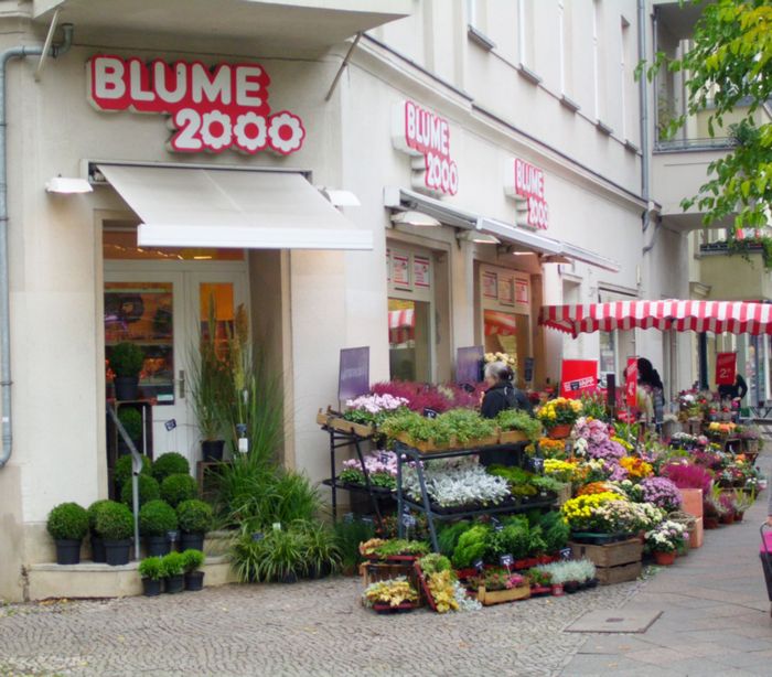 Featured image of post Blume 2000 Filialen - Zu jeder filiale bekommen sie per klick weitere informationen zur lage und dem.
