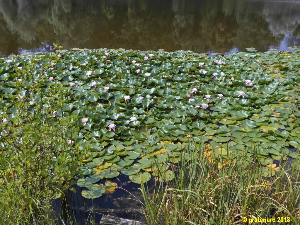 Nutzerfoto 5 Lehrkabinett Teufelssee