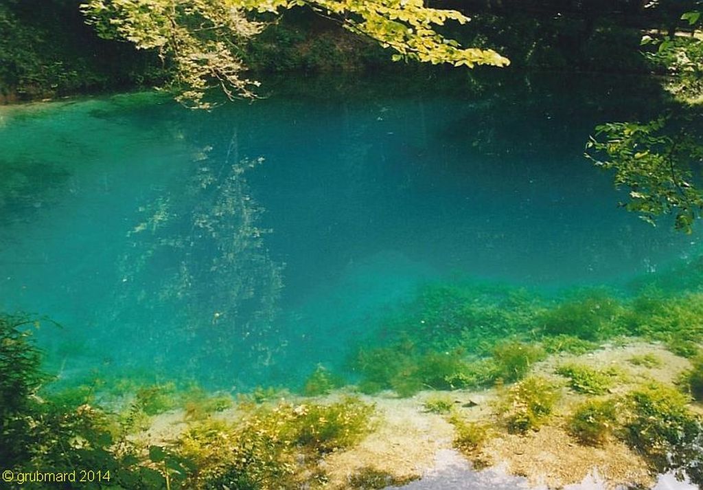 Nutzerfoto 20 Blautopfhaus Schönhofer