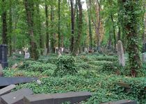 Bild zu Jüdischer Friedhof Schönhauser Allee