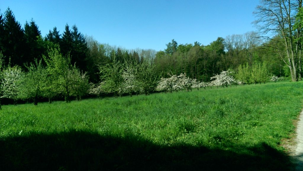 Nutzerfoto 33 Gaststätte Waldschänke