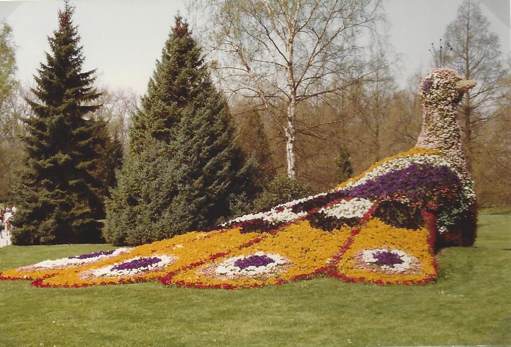 Nutzerfoto 14 Blumeninsel Mainau GmbH , Lennart-Bernadotte-Stiftung