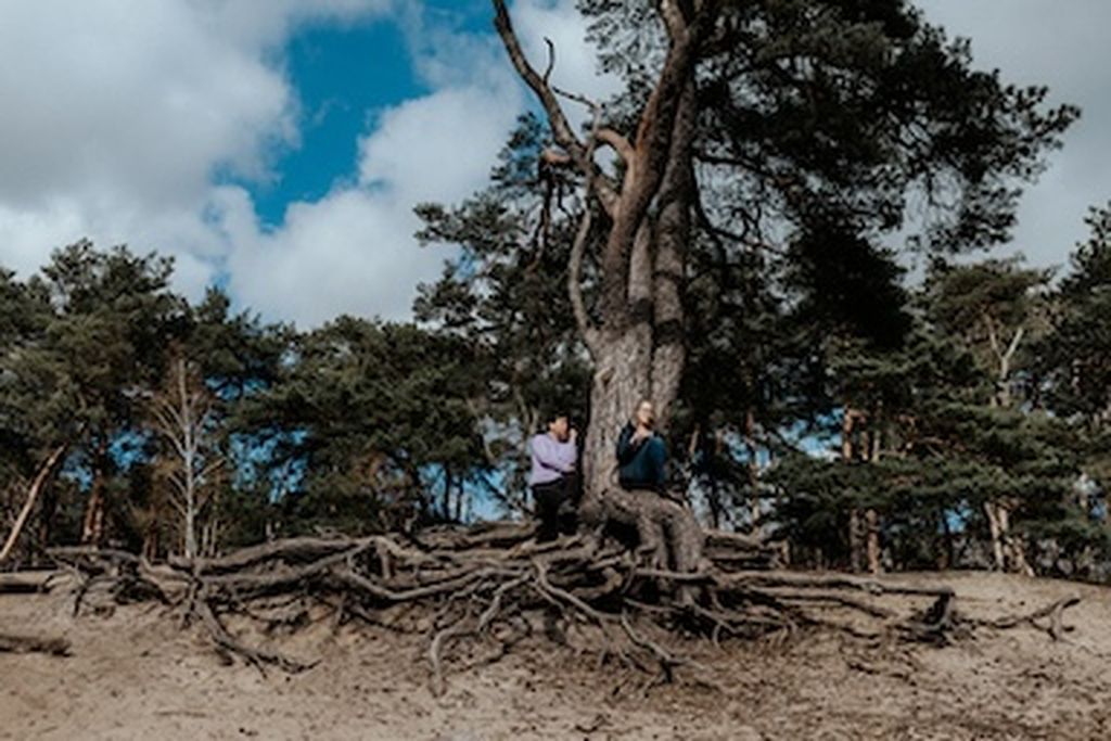 Nutzerfoto 3 Ozorio - Institut für Wandel durch Naturerfahrung und systemische Prozessgestaltung Claudia Fantz