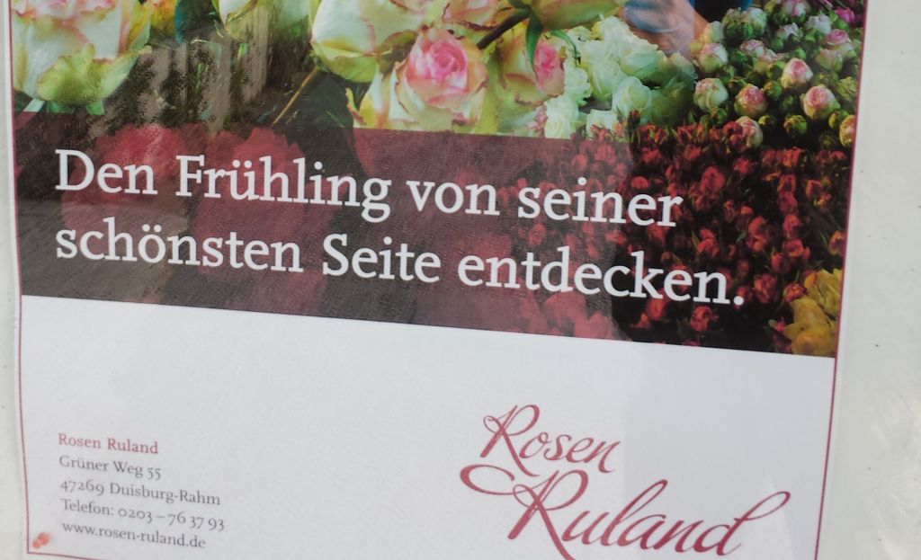 Nutzerfoto 5 Rosen Ruland Inh. Werner Ruland