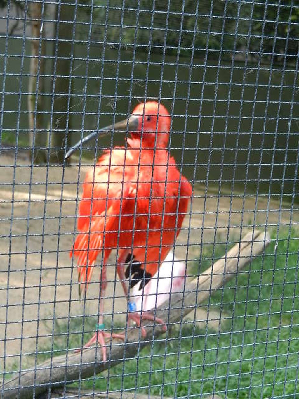 Nutzerfoto 215 Zoologischer Garten Köln AG