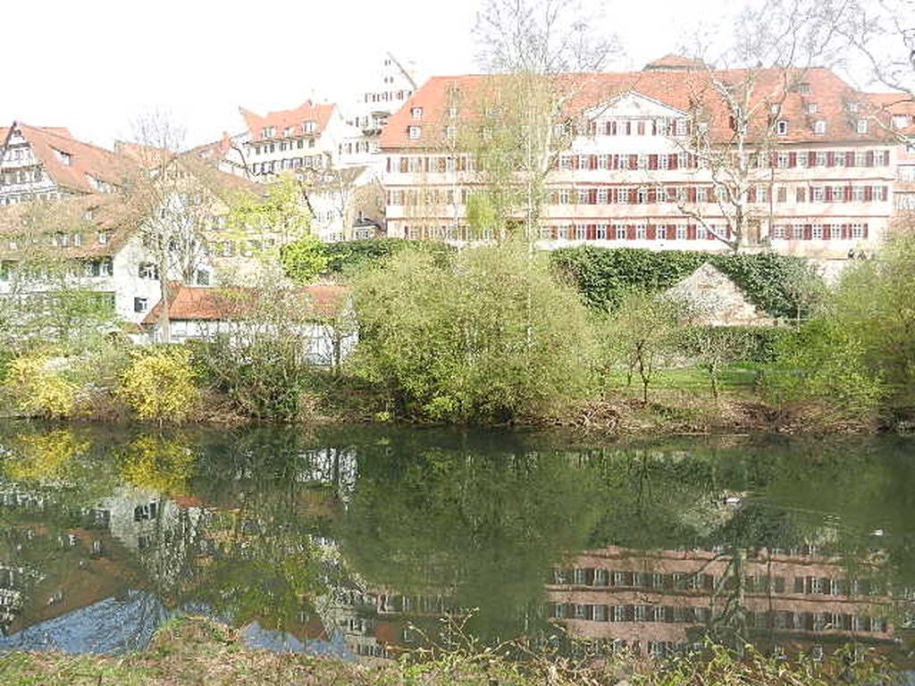 Nutzerfoto 50 Tübinger Musikschule