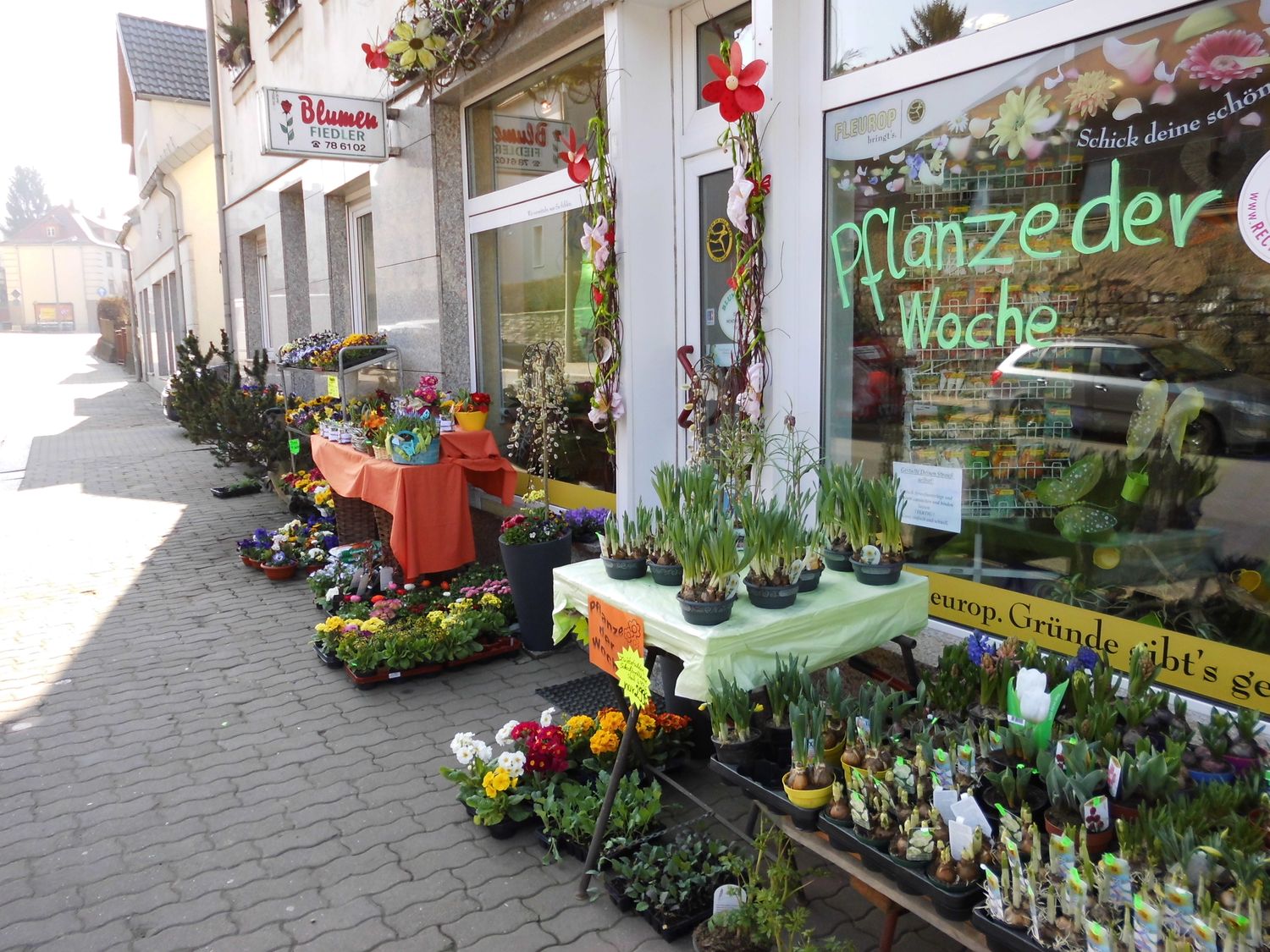 Blumen Fiedler - 4 Bewertungen - Oberplanitz Stadt Zwickau Oberplanitz -  Äußere Zwickauer Str. | golocal