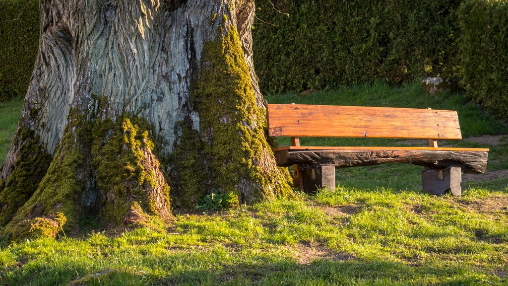 Nutzerfoto 3 Ferienwohnungen Bad Westernkotten