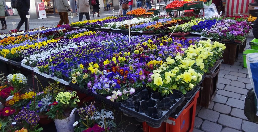 Nutzerfoto 2 Pause Blumengeschäft