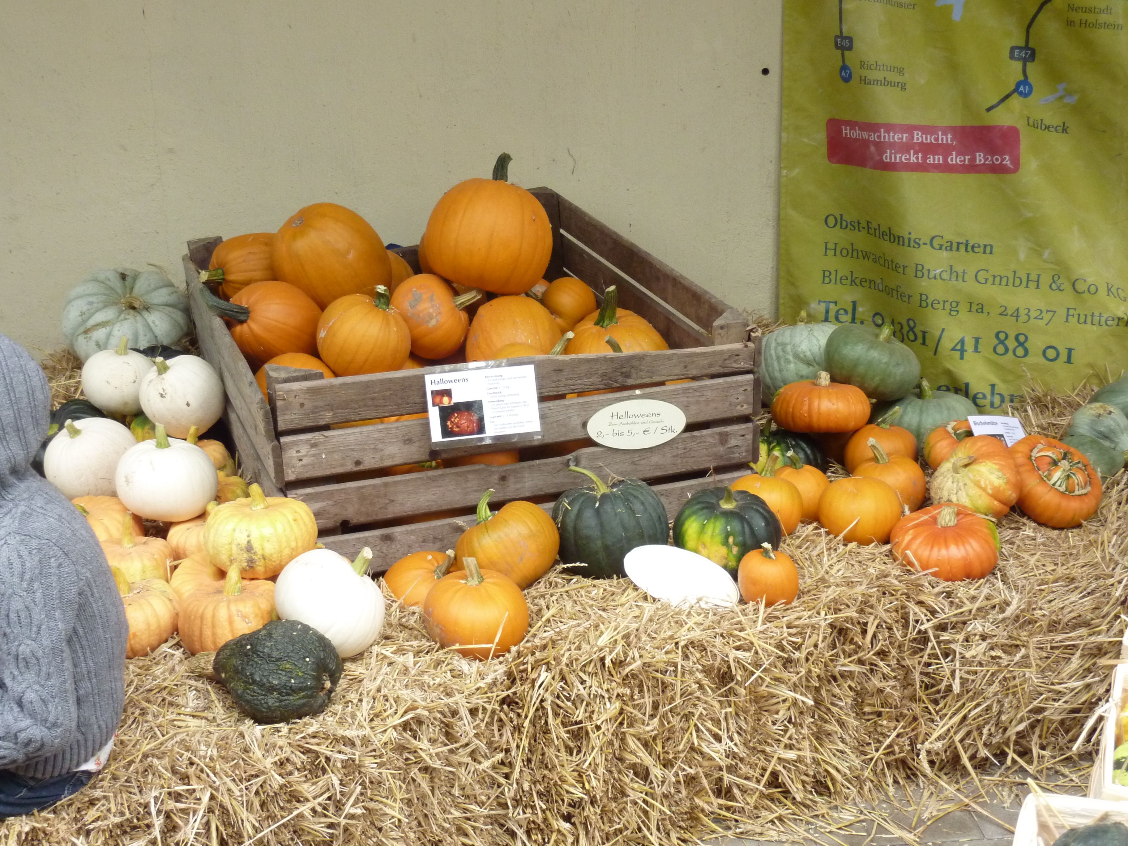 Gartenzauber Hof Bissenbrook 2012