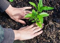 Bild zu BEXTERMÖLLER Garten- u. Landschaftsbau