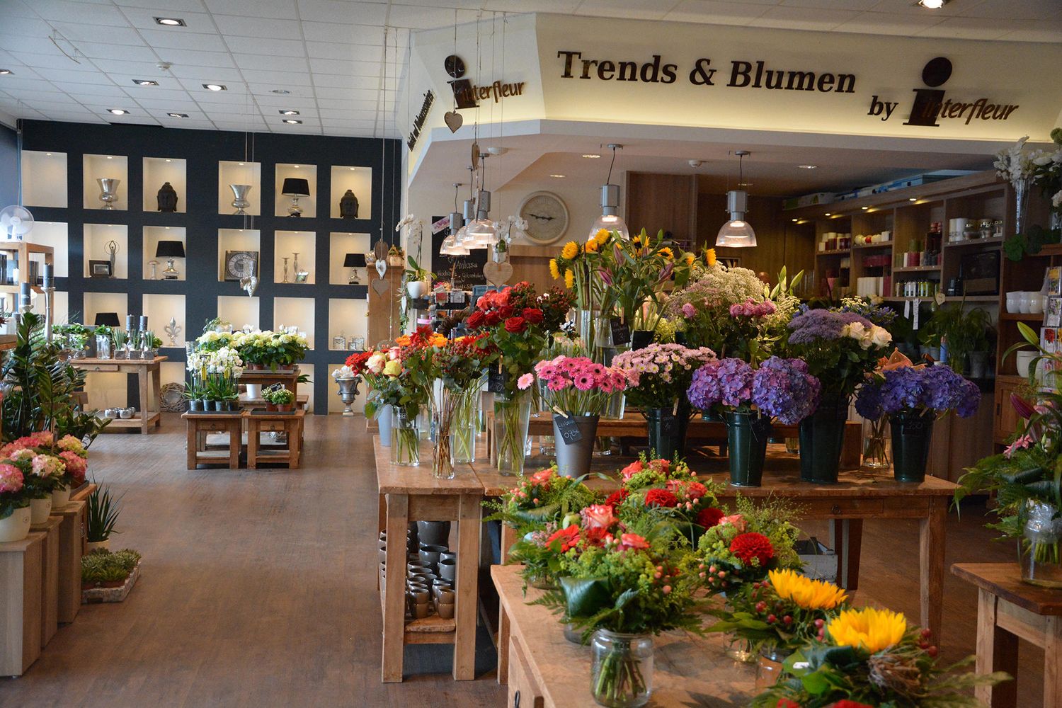 Blumen Interfleur Floristik & Wohnaccessoires - 7 Fotos - Bad Zwischenahn  Rostrup II - Westersteder Straße | golocal
