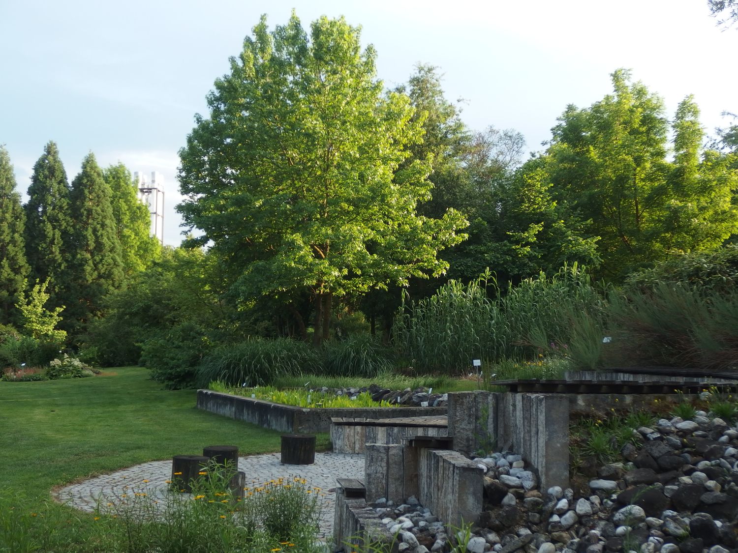 Botanischer Garten Der Universitat Regensburg 3 Fotos