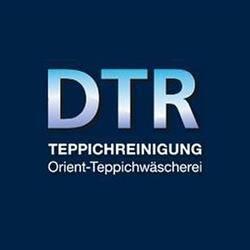 Logo von Möller Nils DTR Teppichreinigung in Freital