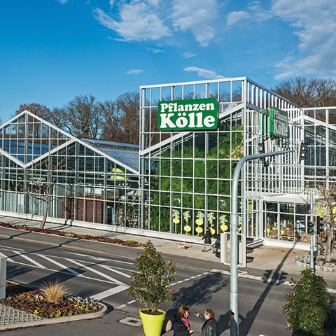 Pflanzen-Kölle Gartencenter GmbH & Co. KG Stuttgart - 17 Bewertungen - Stuttgart  Zuffenhausen - Schwieberdinger Straße | golocal