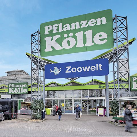 Pflanzen-Kölle Gartencenter GmbH & Co. KG Berlin - Teltow - 11 Bewertungen  - Teltow - Asternstraße | golocal