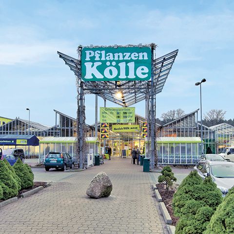 Pflanzen-Kölle Gartencenter GmbH & Co. KG Berlin - Borgsdorf - 5  Bewertungen - Hohen Neuendorf Borgsdorf - Rosenstraße | golocal